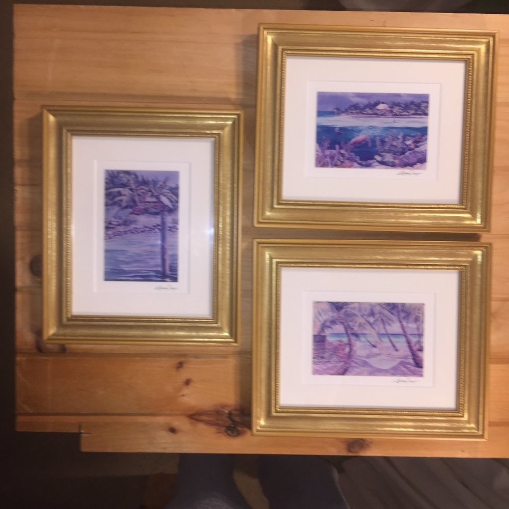 Set of 3 Framed Kathleen Denis Tropical Prints